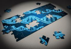 Image of a jigsaw puzzle showing a picture of DNA
