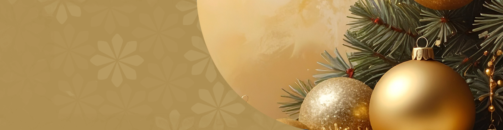 2025 MND NSW Christmas Appeal